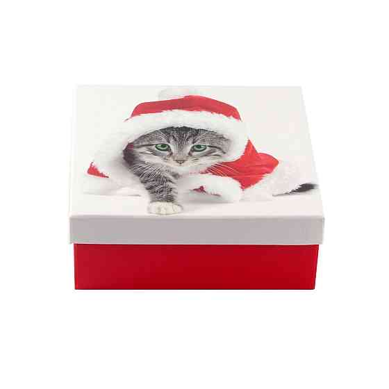 Коробка подарункова ООТВ Santa Cat 18 х 18 х 8 см Рівне