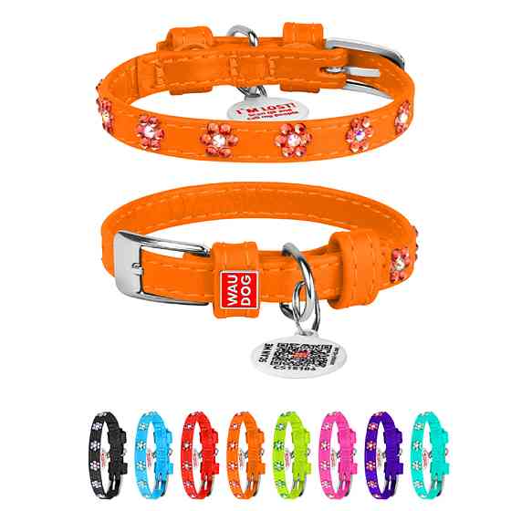 Нашийник для собак шкіряний WAUDOG Glamour з QR паспортом, з клейовими стразами "Квіти", Ш 9 мм Коломыя