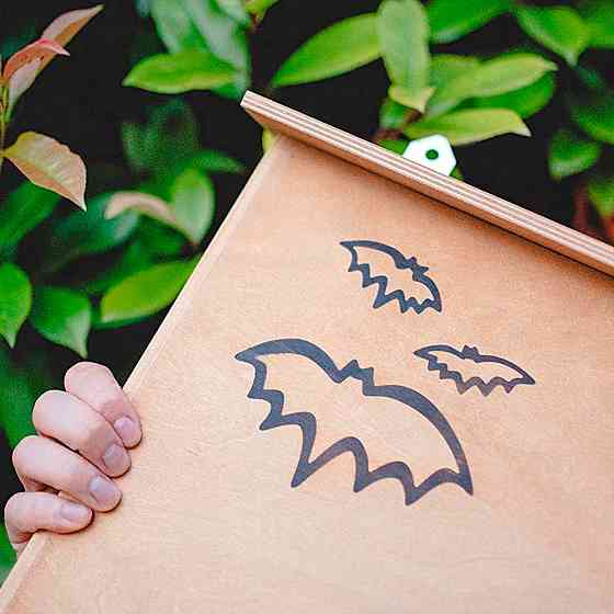 Дерев'яний будиночок для кажанів Ferplast Bat House (Ферпласт Бат Хаус) Запоріжжя