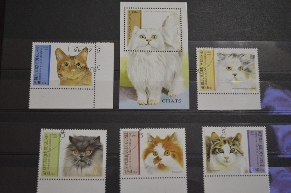 Гвинея. Фауна. 1995 год Полтава - изображение 1