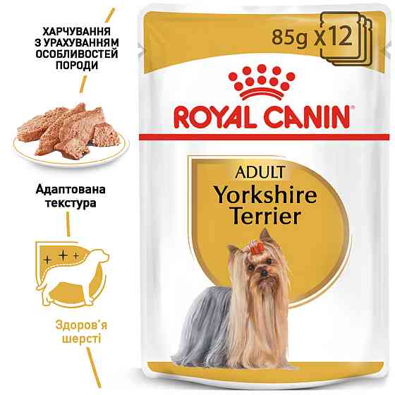 Вологий корм для дорослих собак Йоркшир-тер'єр ROYAL CANIN YORKSHIRE ADULT 0.085 кг Київ