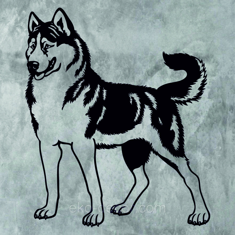 Декоративне настінне Панно «Хаска»,  Декор на стіну Київ - фото 10