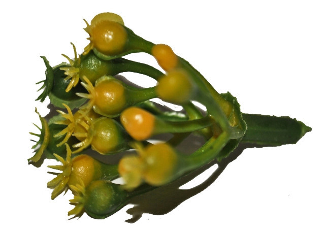 Заготовка для цветка серединка Киев - изображение 1