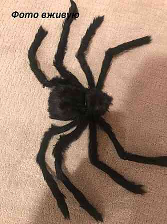 Паук на Хэллоуин декоративный 75см черный Киев