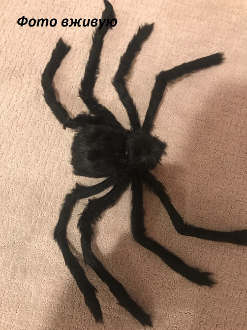 Паук на Хэллоуин декоративный 75см черный Киев - изображение 5