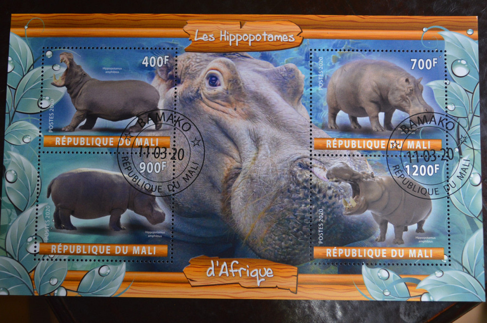 Мали. Марки. Фауна. Блок. 2020 год (В-2) Полтава - изображение 1