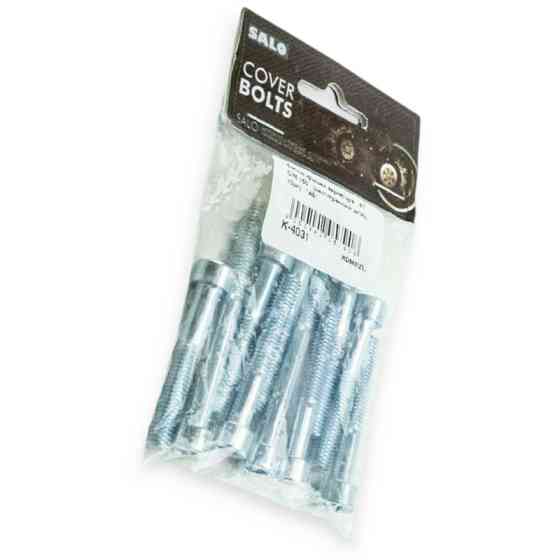 Болти варіатора скутер 4 т китай -150 (шестигранний шліц 10шт) кришки Мукачево