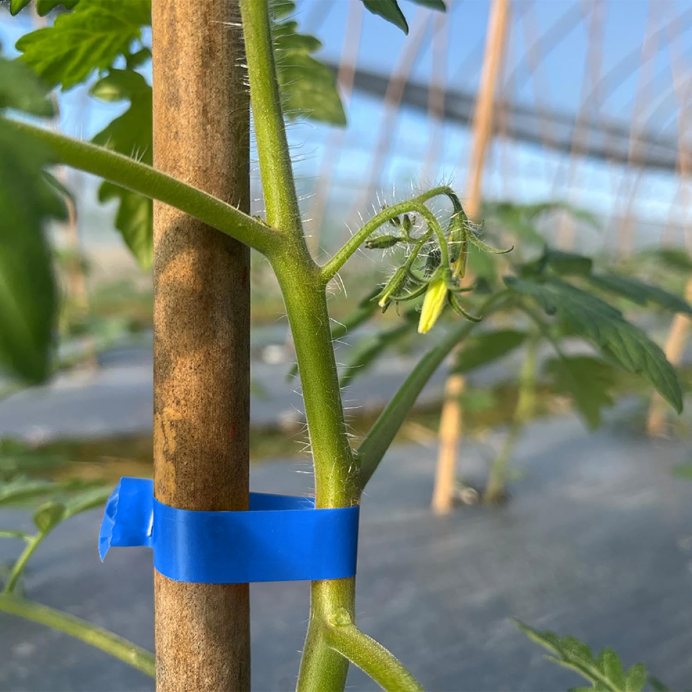 Степлер для подвязки растений Tapetool + Подарок Лента для степлера 26м, 1 шт / Степлер садовый для винограда Киев - изображение 10