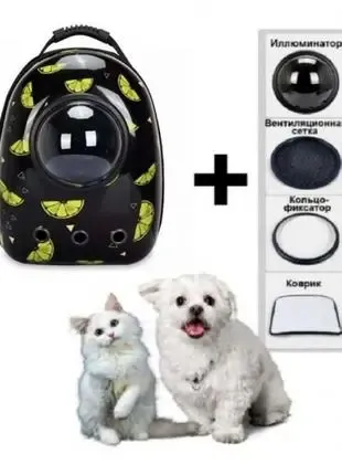 Космический рюкзак для переноски домашних животных CosmoPet с иллюминатором Коломыя