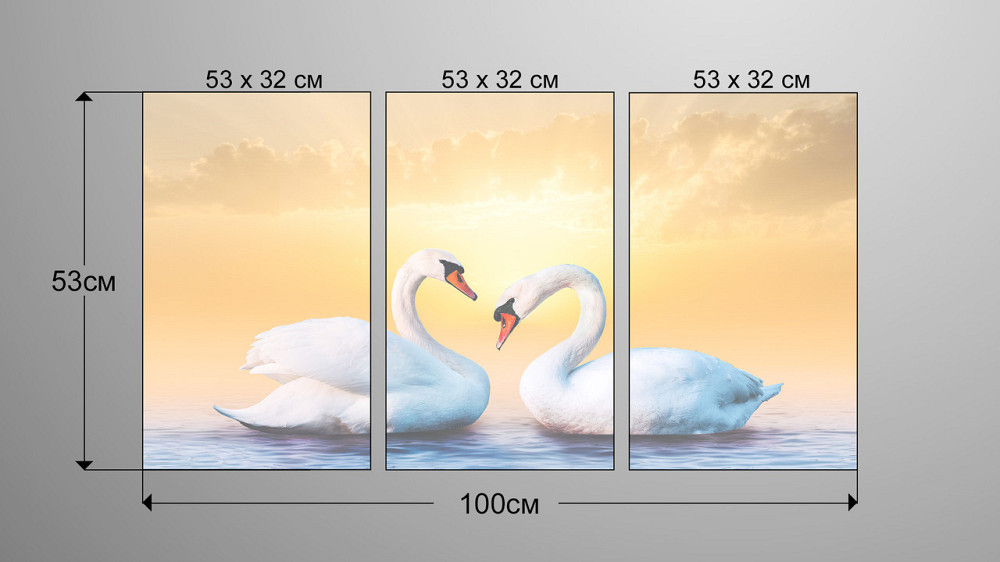 Модульна картина Природа Лебеді Аrt-192_3А Київ - фото 3
