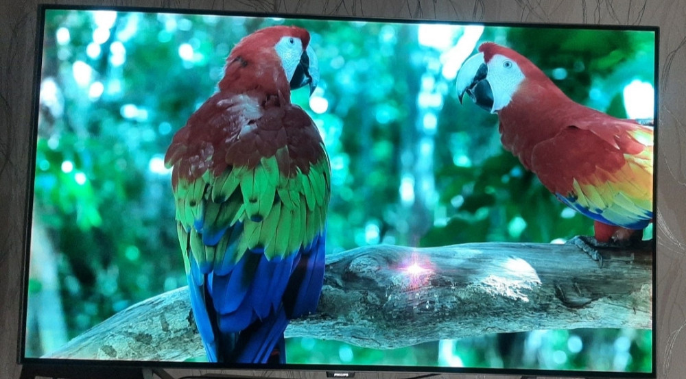 Телевизор: QLED 55