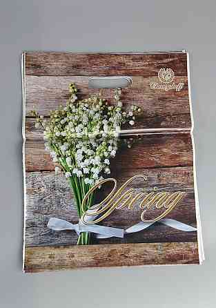 Пакеты с вырубной ручкой (29*37)