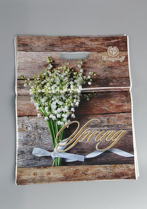 Пакеты с вырубной ручкой (29*37)