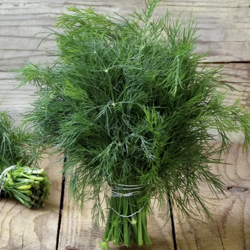 Кріп Компато 1гр Професійне насіння Житомир