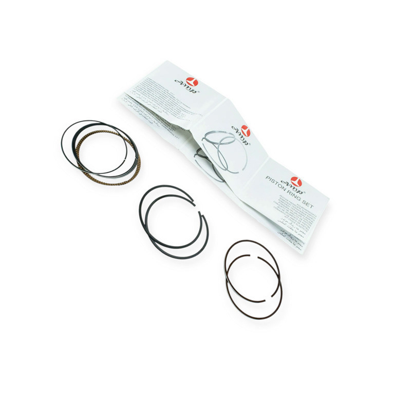 Колец 1.8 (LDA) (81.00) 2 р. AMP Lacetti Мукачево - изображение 1