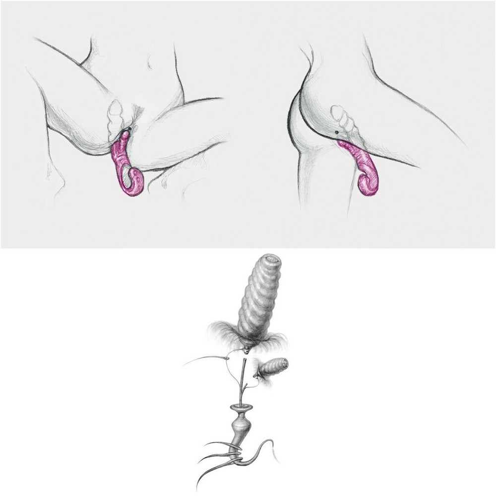 Вібратор кролик рельєфний Gcandy Sex Aura Київ - фото 8