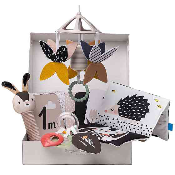 Подарунковий набір іграшок для новонародженого – Чорно-біла гармонія Днепр