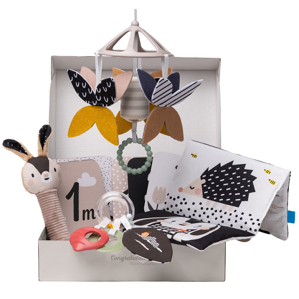 Подарунковий набір іграшок для новонародженого – Чорно-біла гармонія Днепр - изображение 1