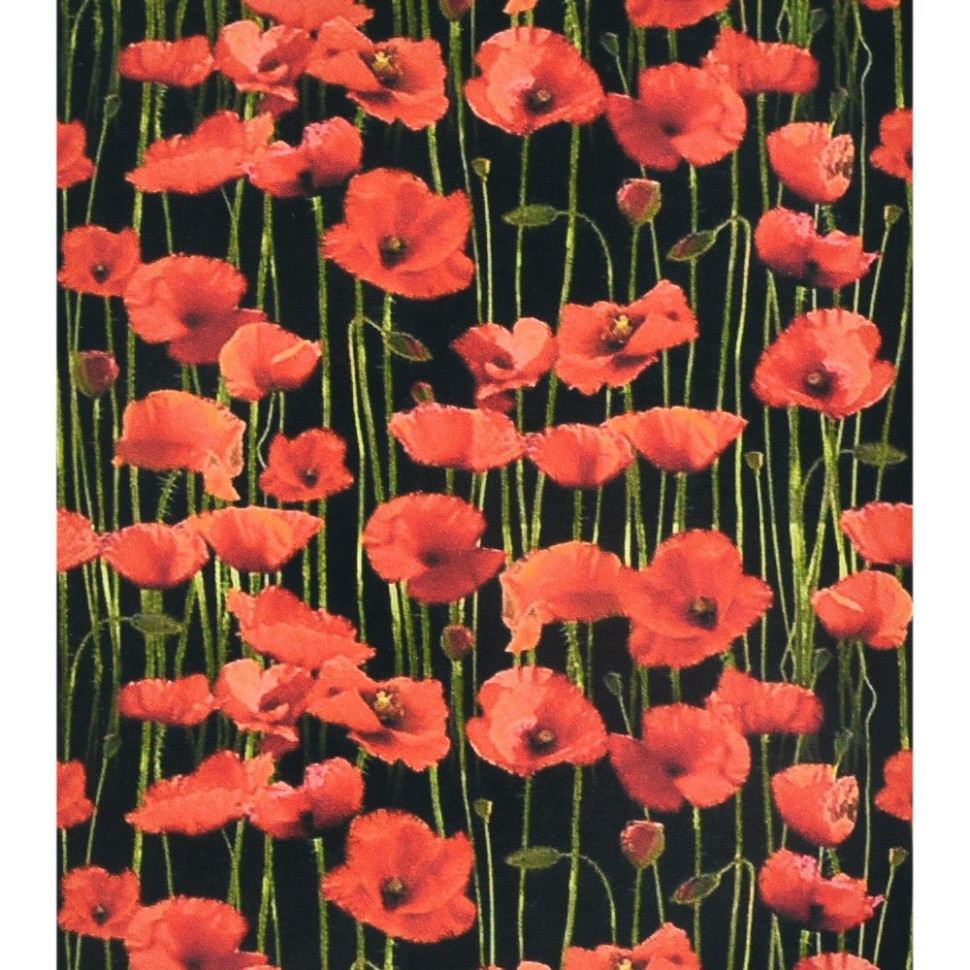 Алмазна мозаїка "Макове поле" SK86881 40х50 см Вінниця - фото 1