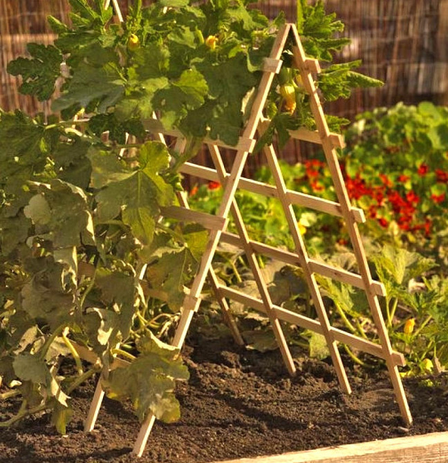 Опора для плетущихся 