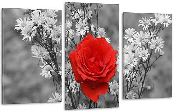 Модульна картина Колір Роза Art-3_3 70x130 см Київ