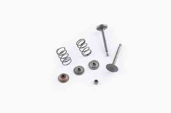 Клапани (пара, у зборі) мотоблок 168F/170F (6,5/7Hp) (D-25/H-64, D-24/H-62) Мукачево