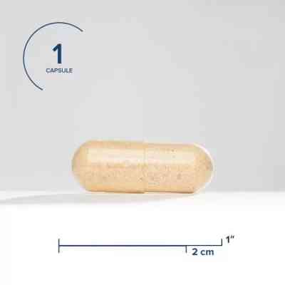 Вітамінно-мінеральний комплекс Seeking Health Підвищення Серотоніну, Serotonin Nutrients, 60 вегетаріанських ка (SKH52178) Вінниця