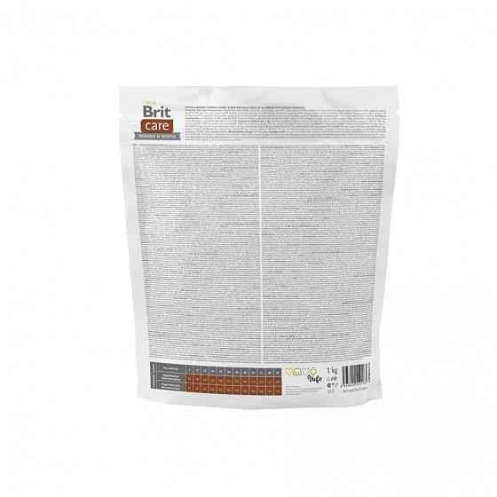 Сухой корм Brit Care Dog Hypoallergenic Weight Loss для собак с лишним весом, гипоаллергенный с кроликом, 1 кг Винница