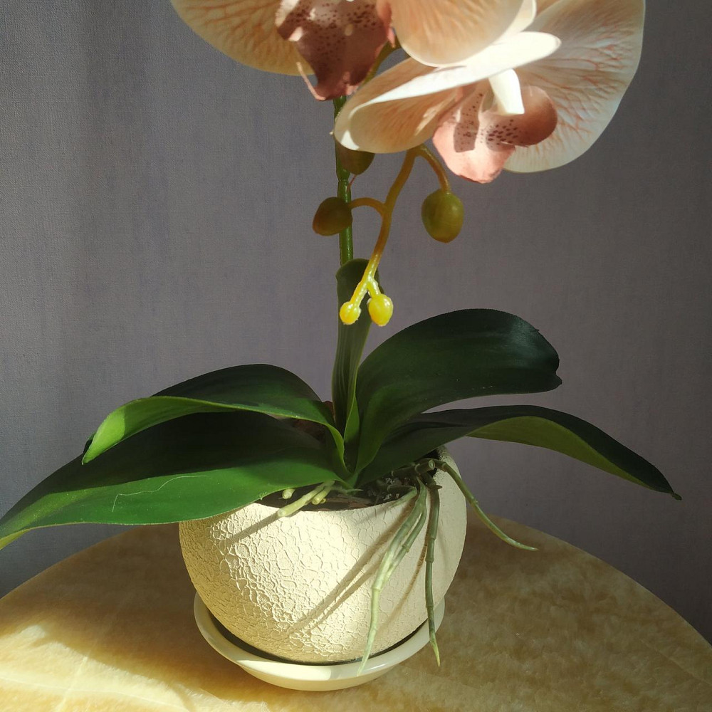 Штучна латексна орхідея VIP у бежевому керамічному кашпо на одну пудрову гілку. Дніпро - фото 3