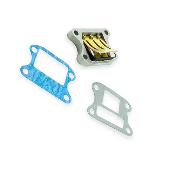 Клапан Хонда DIO-18, 27, Хонда Леад метал + пелюстковий прокладки Мукачево