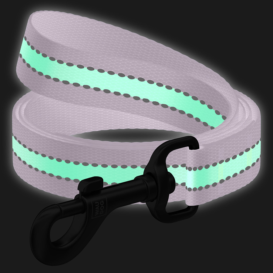 Повідець для собак нейлоновий WAUDOG Nylon, світонакоплювальний, Ш 20 мм, Дов 122 см фіолетовий Коломия - фото 2