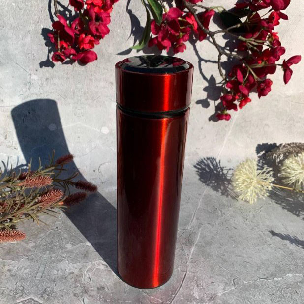 Термос с индикатором температуры 0.5 л, Красивый небольшой термос, Термокружка для автомобиля GF-70 Львов - изображение 2