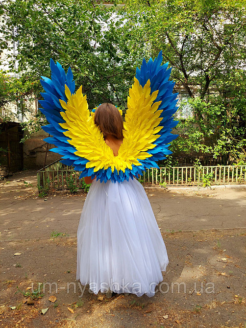 Крылья Ангела желто-голубые крылья украинские Ангел Украины Кривой Рог - изображение 5