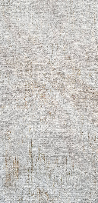 Шпалери вінілові на флізеліні Rasch Golden Hour метрове листя світло-бежеві із золотистими Київ - фото 2