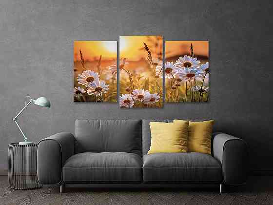 Модульна картина у вітальню/ спальню Поле Ромашок Art-561_3 Київ