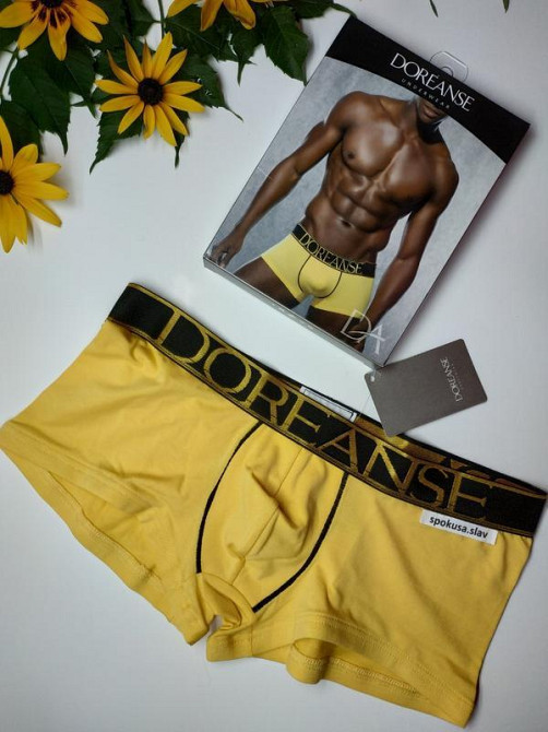 Оригинальні чоловічі боксерки doreanse 1725 XL Славута - фото 1