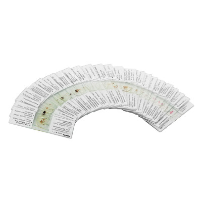 Набір мікропрепаратів Konus Біологія Клітини і тканини тварин 25 шт (4986) Вінниця - фото 2