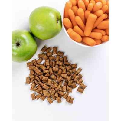 Ласощі для котів Savory Snack Dental Care 60 г (подушечки для гігієни зубів) (4820232631478) Вінниця