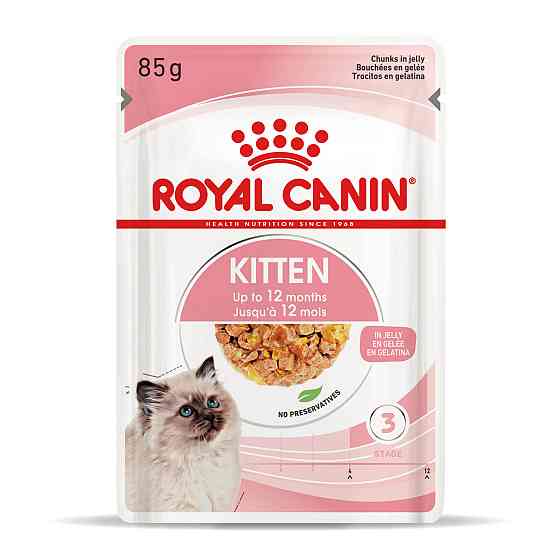 Вологий корм для кошенят ROYAL CANIN KITTEN IN JELLY 0.085 кг Київ