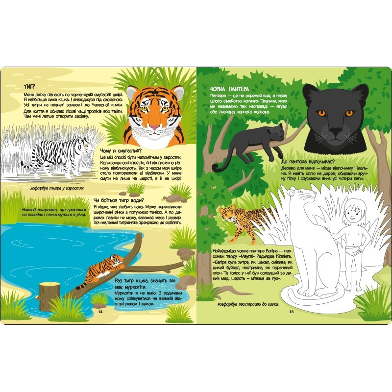 Развивающая тетрадь 