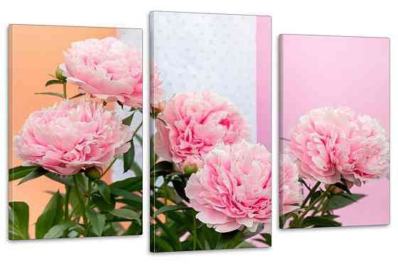 Модульная картина в гостиную / спальню  Піони  Art-664_3 Киев
