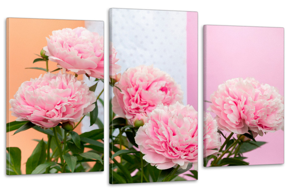 Модульная картина в гостиную / спальню  Піони  Art-664_3 Киев - изображение 1