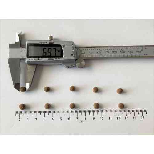 Корм сухий Brit Care Cat Grain Free Kitten Gentle Digestion Strong Immunity для кошенят для міцного імунітету з лососем 7 кг Київ