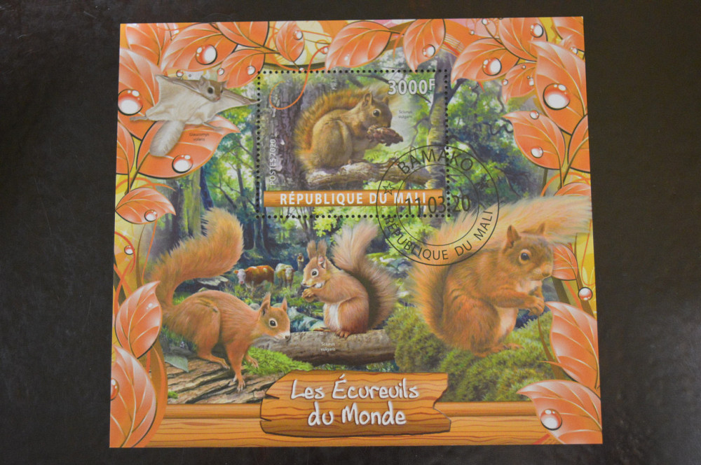 Мали. Марки. Фауна. Блок. 2020 год (В-4) Полтава - изображение 1