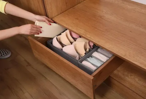 Органайзер 32×32×10 см на 7 отделений для хранения нижней белизна Темно-серый Коломия