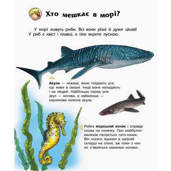 Енциклопедія дошкільника Океани та моря 614055 для найменших Вінниця