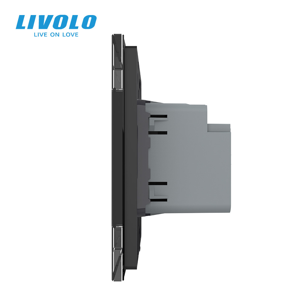 LIVOLO Розетка USB-A та USB-C з Power Delivery 36W LIVOLO чорна матова скло Коломия - фото 10