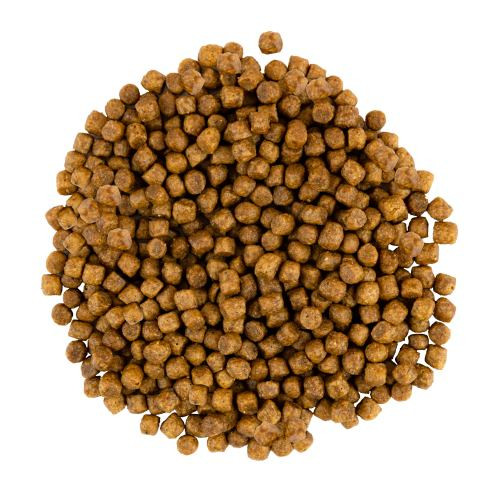 Корм сухий Savory Kitten rich in Fresh Turkey and Chicken для кошенят всіх порід зі свіжою індичкою та куркою 400 г Київ - фото 2