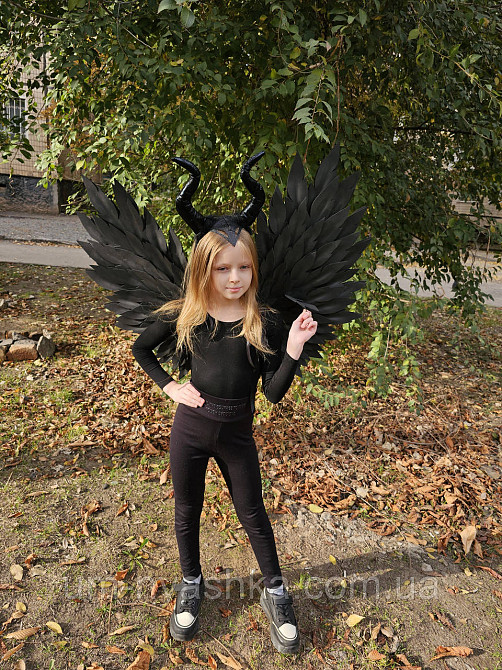 Чорні Крила великі Кривий Ріг - фото 8