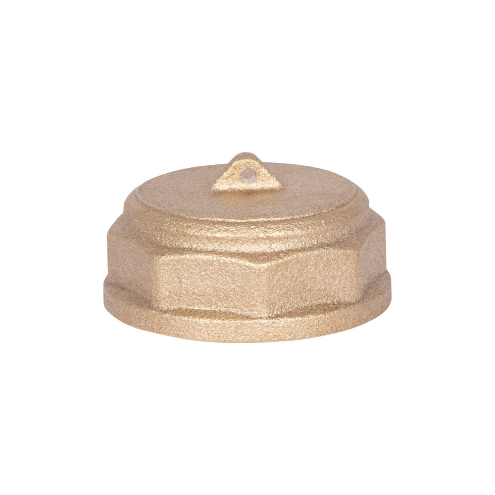 Заглушка Thermo Alliance Standart 1" ВР SD40225 Київ - фото 5